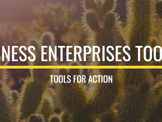 Business Enterprises Toolbox