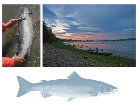 Making First Nation Law: The Listuguj Mi'Gmaq Fishery