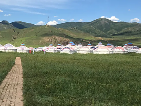 NNI on the Steppes of Inner Mongolia