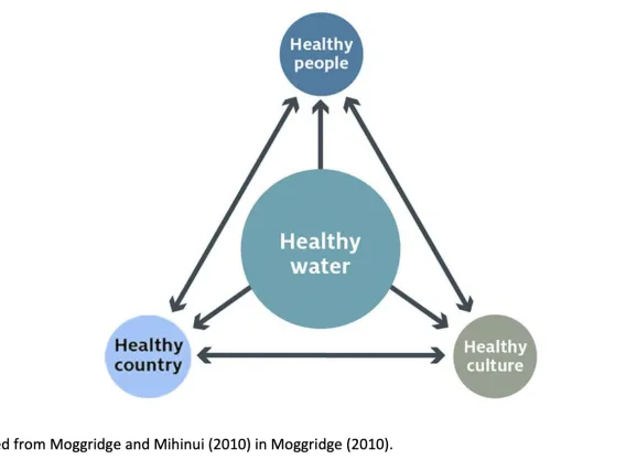 Water Back: A Review Centering Rematriation and Indigenous Water Research Sovereignty