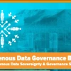 Screenshot of the hero image from the US Indigenous Data Governance Brief